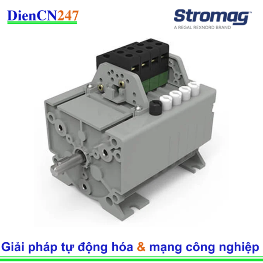 51_17.5_BM2Z_898 Stromag Vietnam | DienCN247