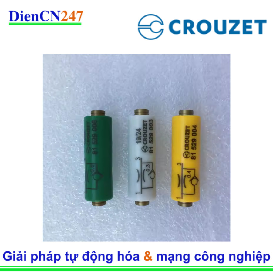 81529003 Crouzet Vietnam | DienCN247