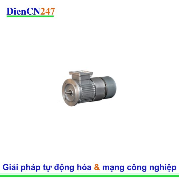 B8224068 – Động Cơ Điện Công Nghiệp | Electro Adda Vietnam