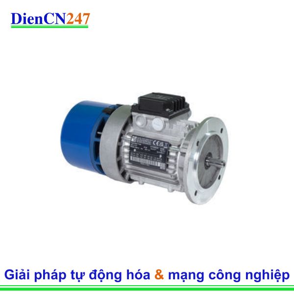 BAX132SB4B5-SP.178 – Động Cơ Phanh Điện MGM Electric Motors Vietnam