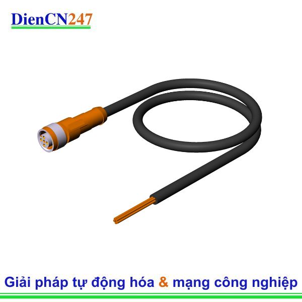 Cáp kết nối C-M12F05-05X034PU10,0-MA-113640 Euchner Vietnam