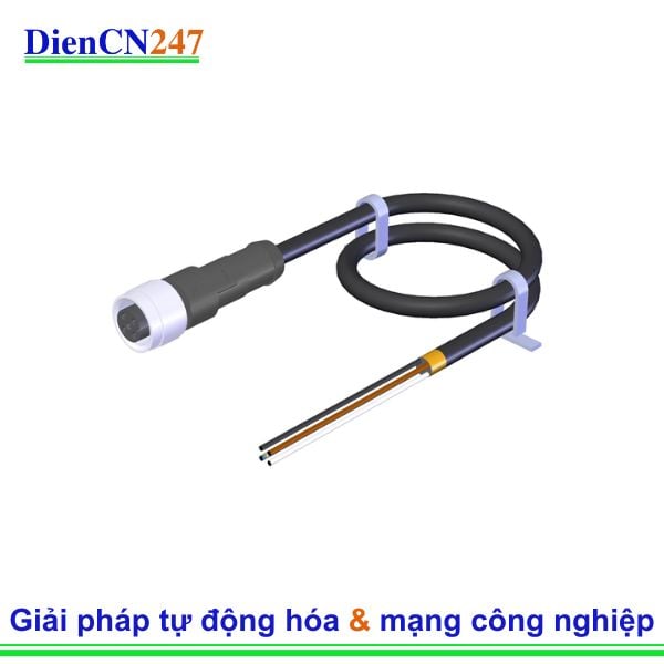 C-M12F05-05X034PV10,0-MA-100184 CONNECTOR Euchner Vietnam | Giải Pháp Kết Nối Hiện Đại