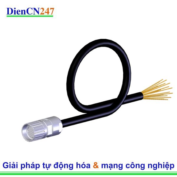 Cáp kết nối C-M23F19-19XDIFPU06,0-MA-077014 Euchner Vietnam