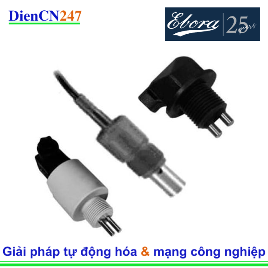 C100.01.TC Ebora Vietnam | DienCN247