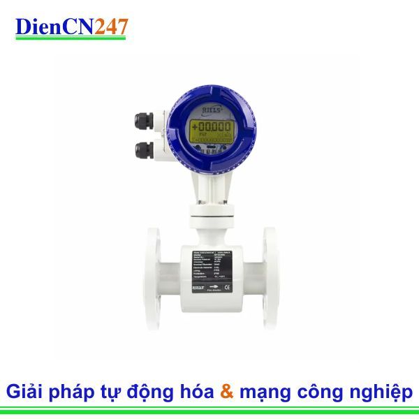 Cảm biến lưu lượng CV010M-DC-C Riels Instruments Vietnam