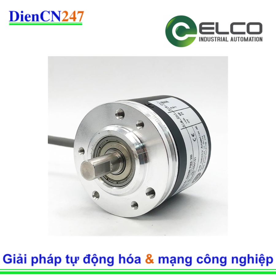 EB50B8-P6HA-300 ELCO HOLDING | DienCN247
