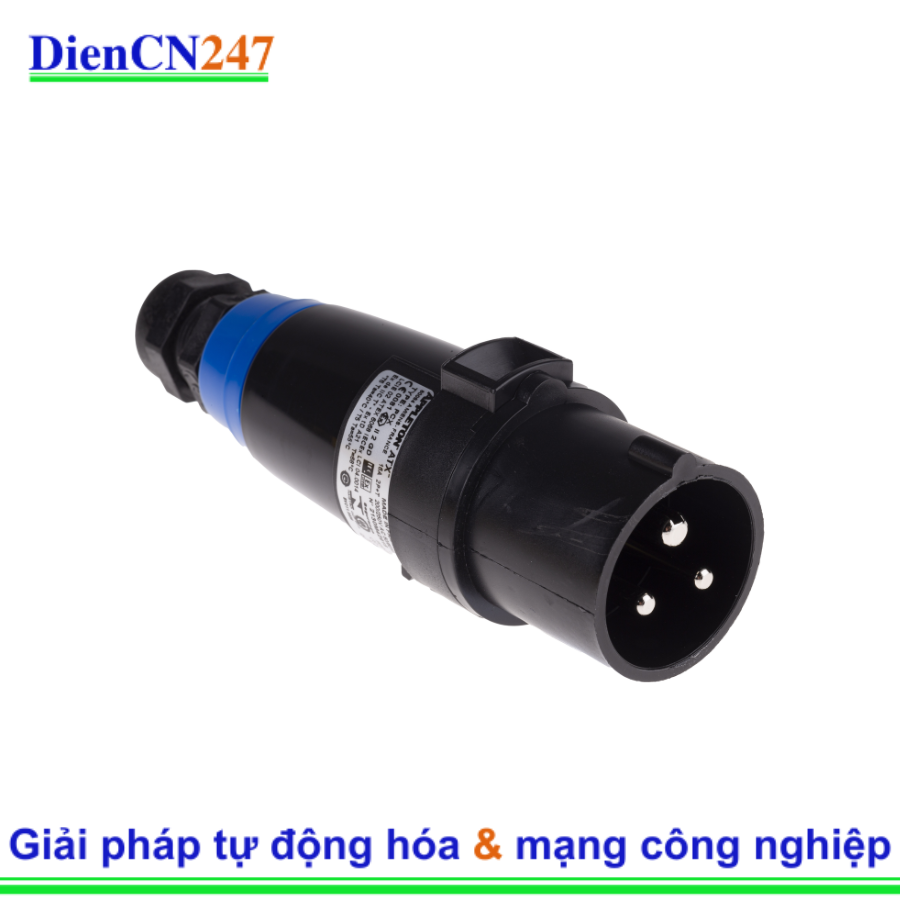 PRE316PB Appleton | DienCN247