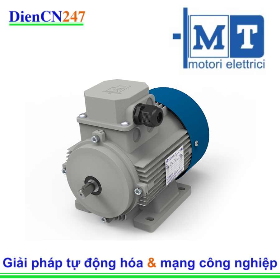 TN100 KW2,2/4 B5 TRIF 230-400/50 IE3 M.T. Motori Elettrici Srl Vietnam | DienCN247