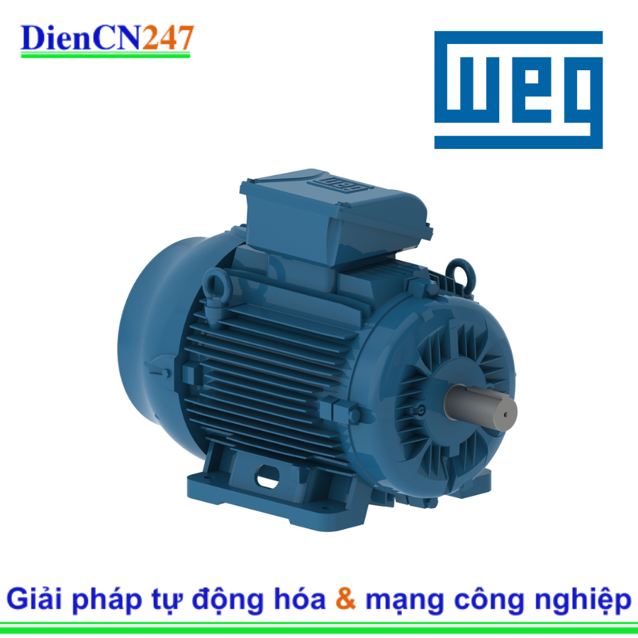 W22XEC WEG Automation | DienCN247