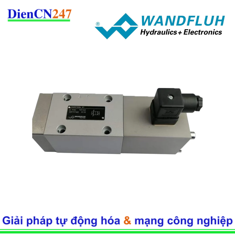 WDPFA06-ACB-S-32-G24/WD-D1 Wandfluh | DienCN247