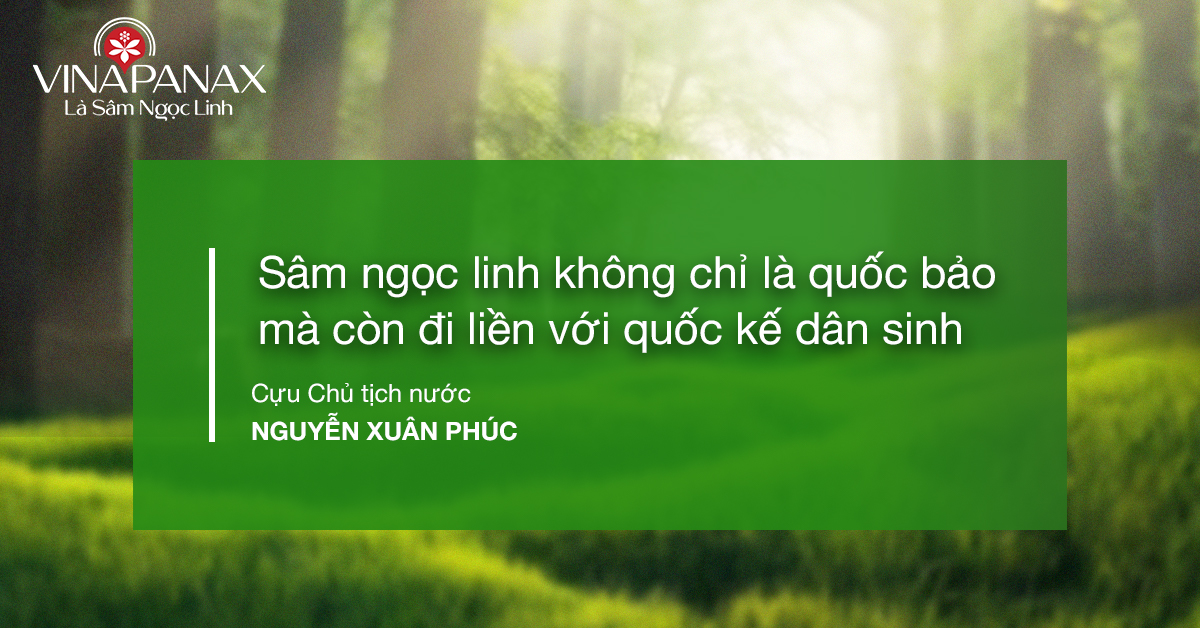 Công Dụng Sâm Ngọc Linh Trong Phòng Ngừa Ung Thư, Chống Stress Và Bảo Vệ Tế Bào Gan