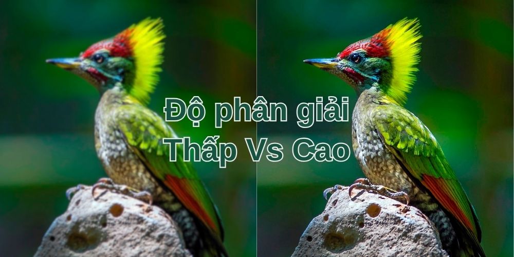 Độ phân giải màn hình là gì? Cách chọn màn hình phù hợp với nhu cầu của bạn