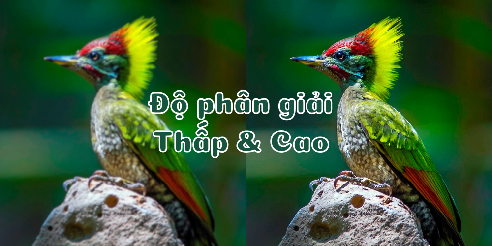 Độ phân giải màn hình là gì? Cách chọn màn hình phù hợp với nhu cầu của bạn