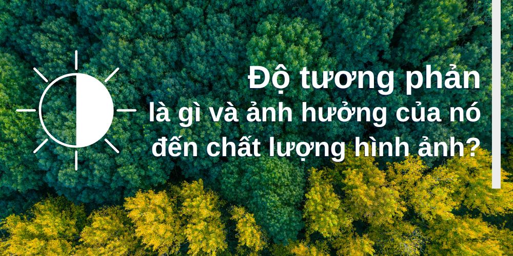 Độ tương phản là gì và ảnh hưởng của nó đến chất lượng hình ảnh?