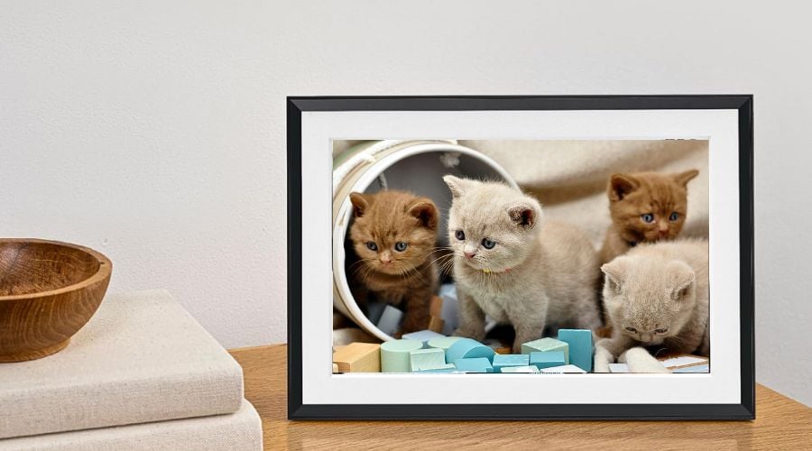 Khung ảnh kỹ thuật số Frameo PixyFrame