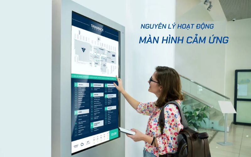 nguyên lý hoạt động của màn hình cảm ứng