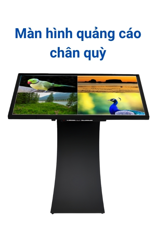 Màn hình quảng cáo LCD chân quỳ Back - 55Kblack