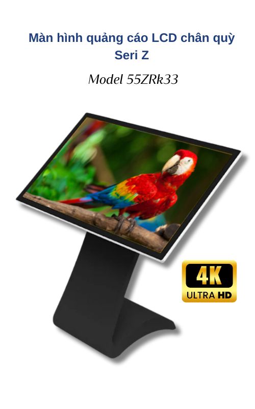 Màn hình quảng cáo chân quỳ Seri Z 55ZRk33