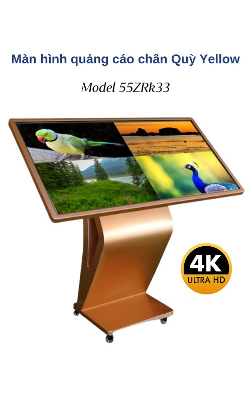Màn hình quảng cáo chân Quỳ Yellow 50Yellow-Kr3