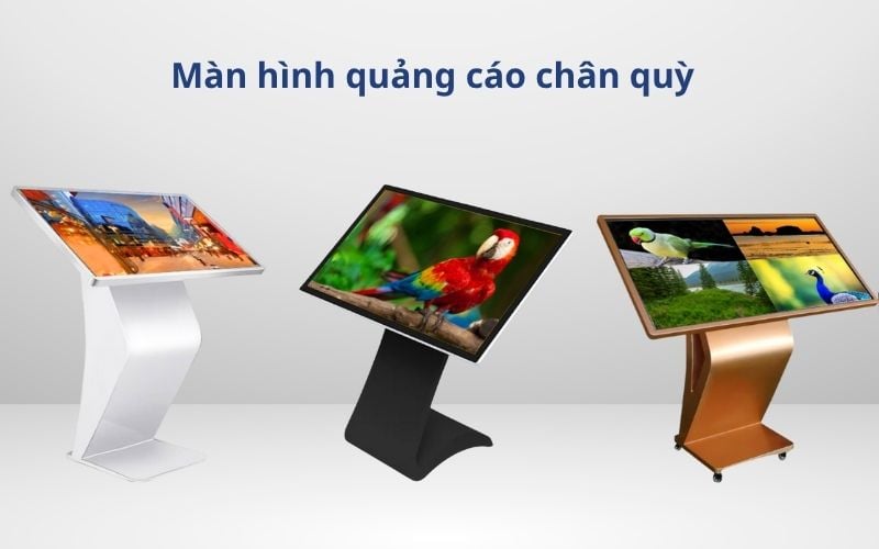màn hình quảng cáo chân quỳ