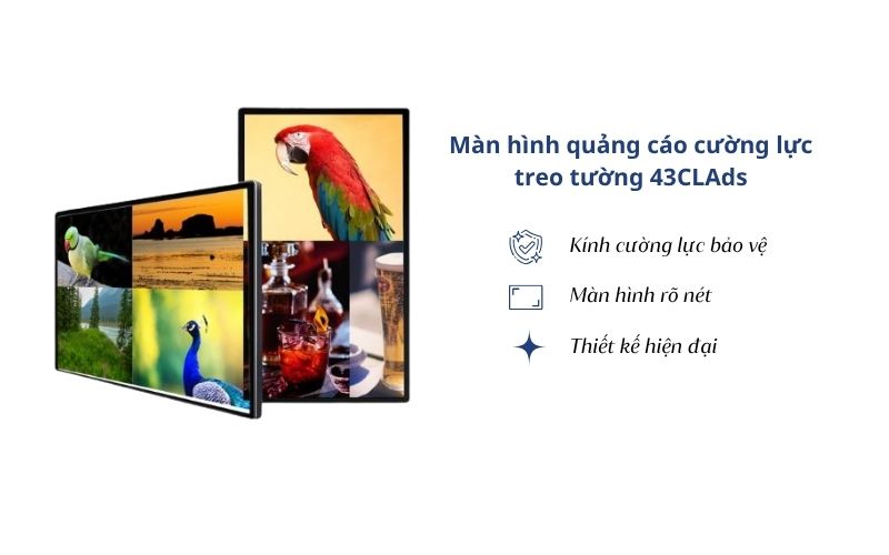 Màn hình quảng cáo cường lực treo tường 43CLAds