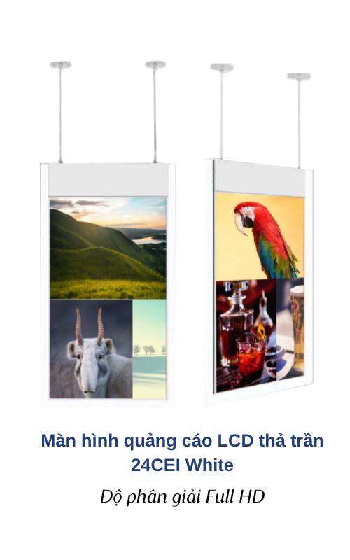 Màn hình quảng cáo thả trần 24CEI White 24 inch