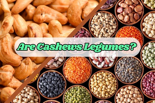 Are Cashews Legumes? Let's find out here