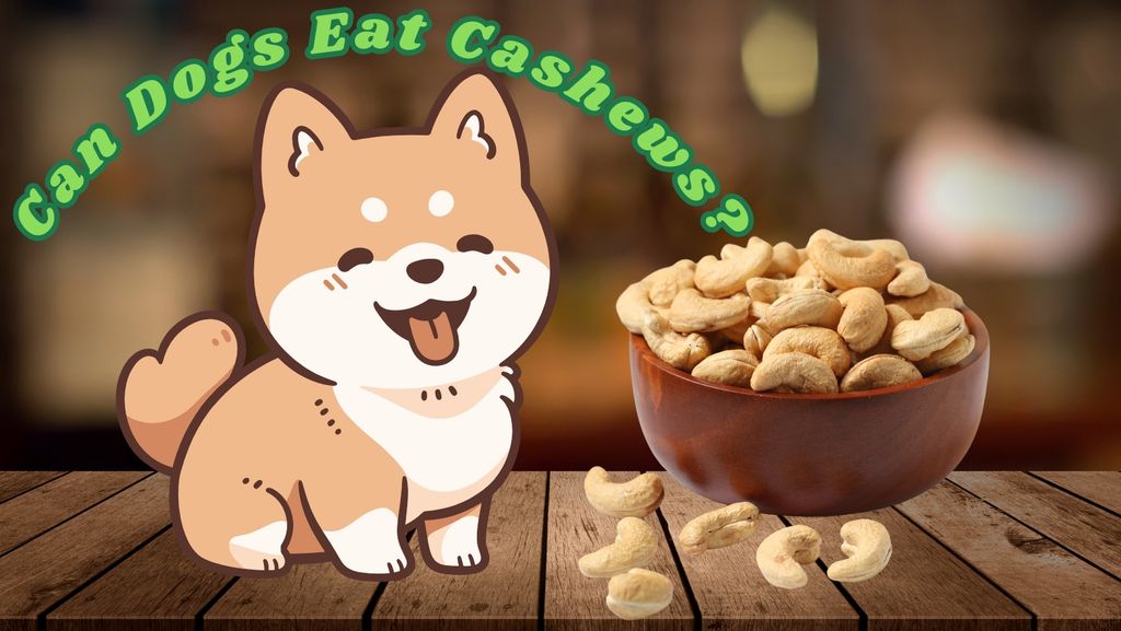 Can Dogs Eat Cashews? All good and bad sides and how to feed them safely
