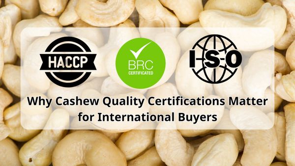 Why Cashew Quality Certifications Matter for International Buyers