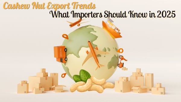 Cashew Nut Export Trends: What Importers Should Know in 2025