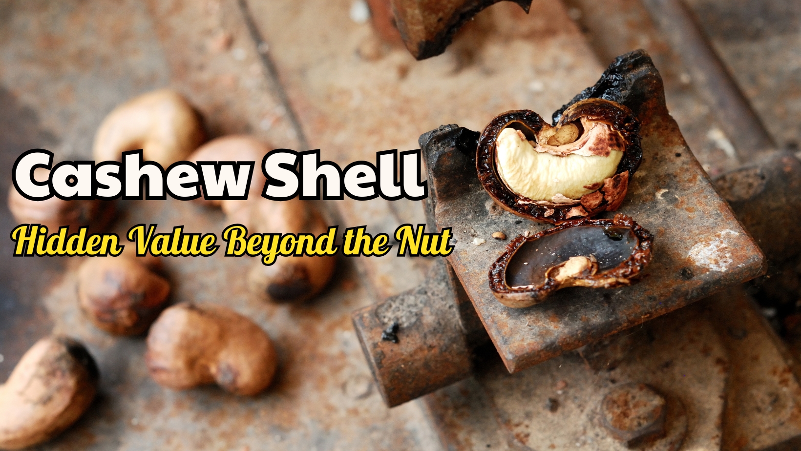 Cashew Shell: Hidden Value Beyond the Nut – OTIS BÌNH PHƯỚC