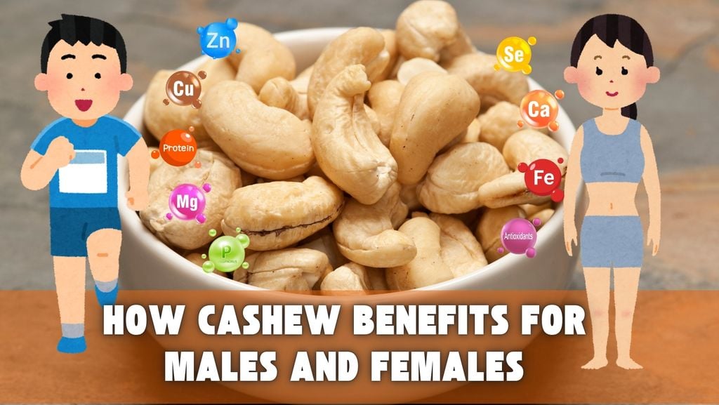How Cashew Benefits for Males and Females
