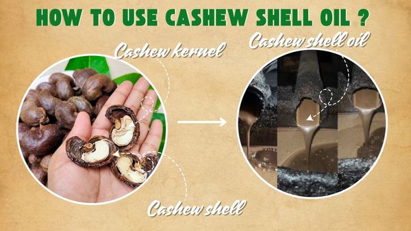 Cashew Nut Shell Liquid (CNSL) or Cashew shell oil- How To Use?