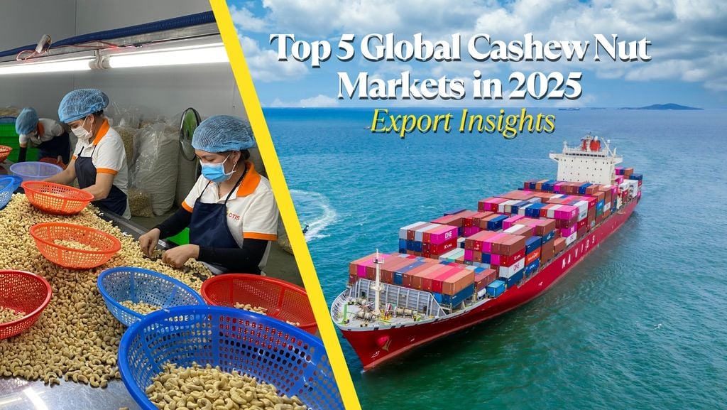Top 5 Global Cashew Nut Markets in 2025 | Export Insights