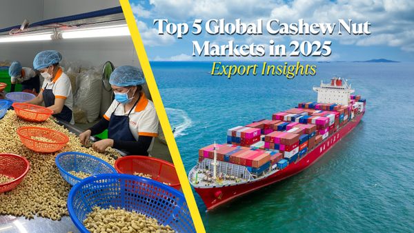 Top 5 Global Cashew Nut Markets in 2025 | Export Insights