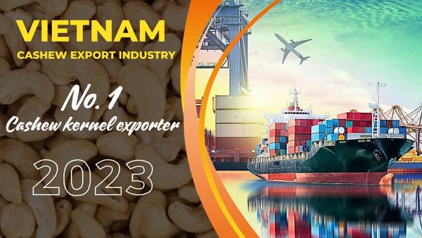 Vietnam Cashew Export Industry - A Comprehensive Overview