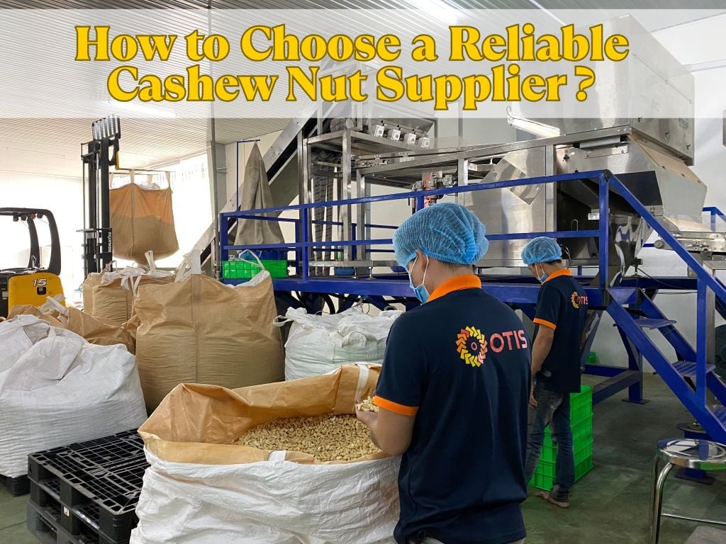How to Choose a Reliable Cashew Nut Supplier: 7 Key Tips for Importers