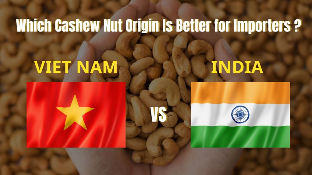 Vietnam vs India: Which Cashew Nut Origin Is Better for Importers?