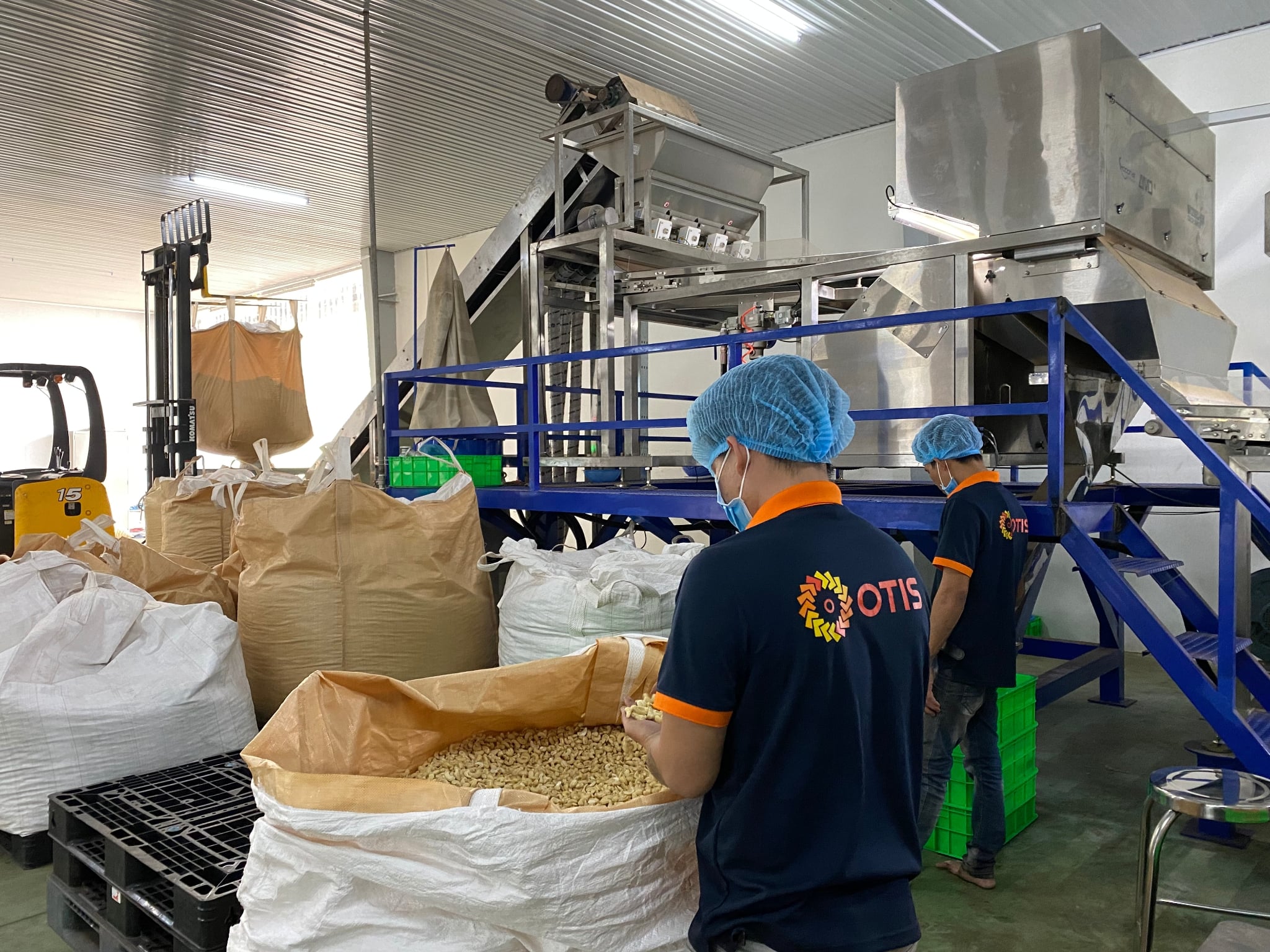 cashew-nuts-factory