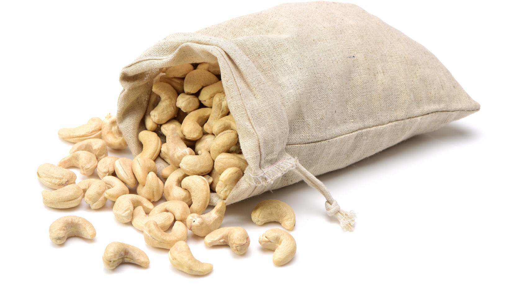 Can Dogs Eat Cashews? All good and bad sides OTIS BÌNH PHƯỚC