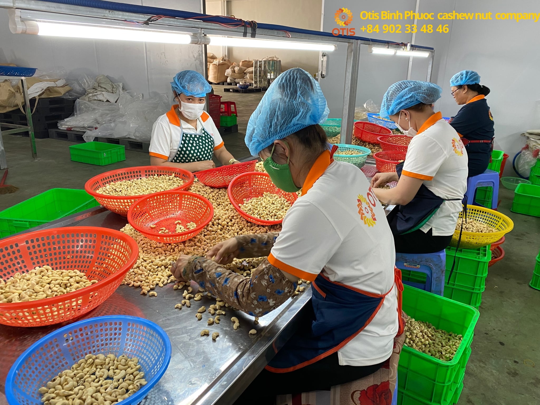otis-binh-phuoc-cashew-nut-company