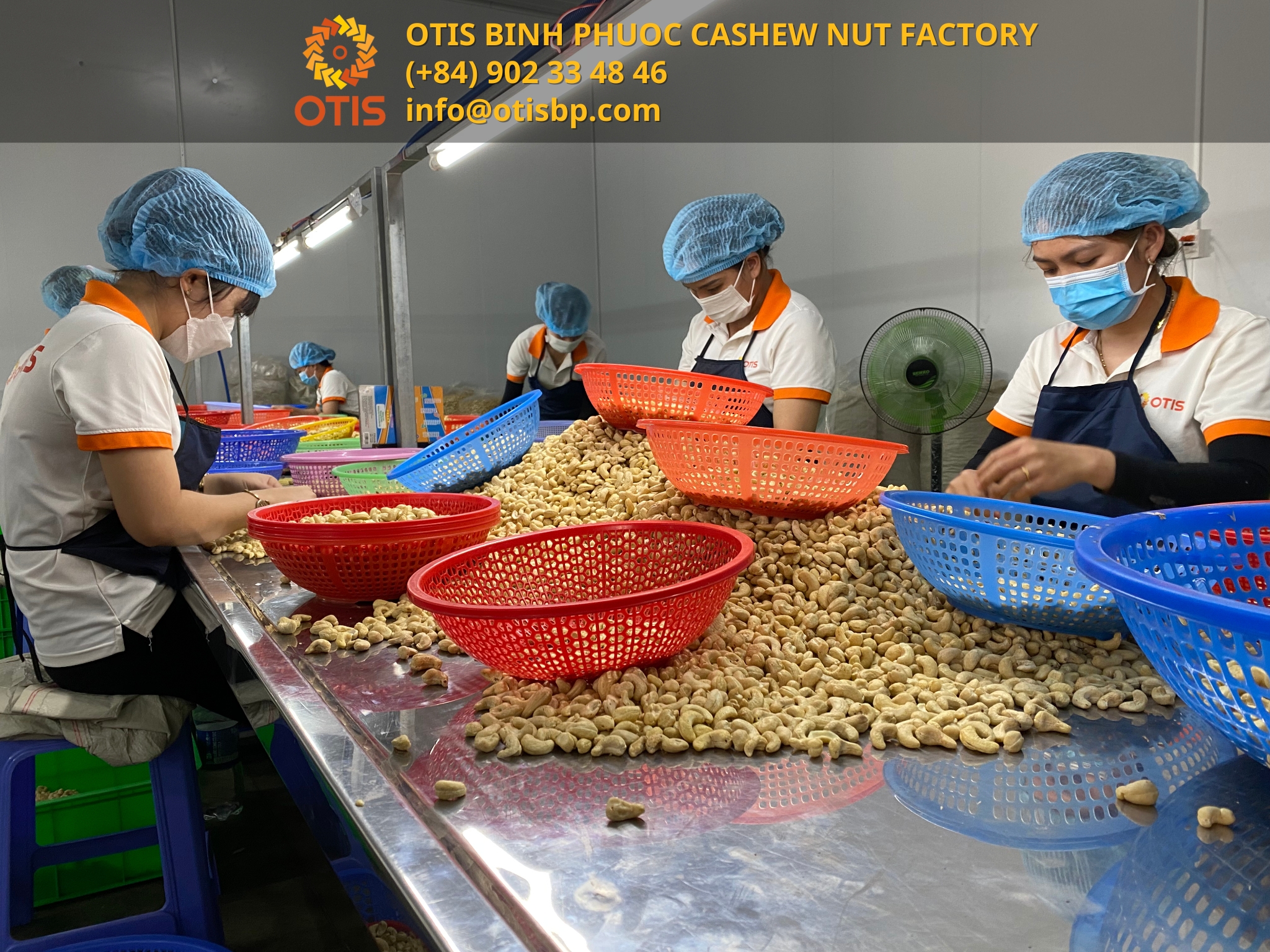 otis-bp-cashew-nut-factory