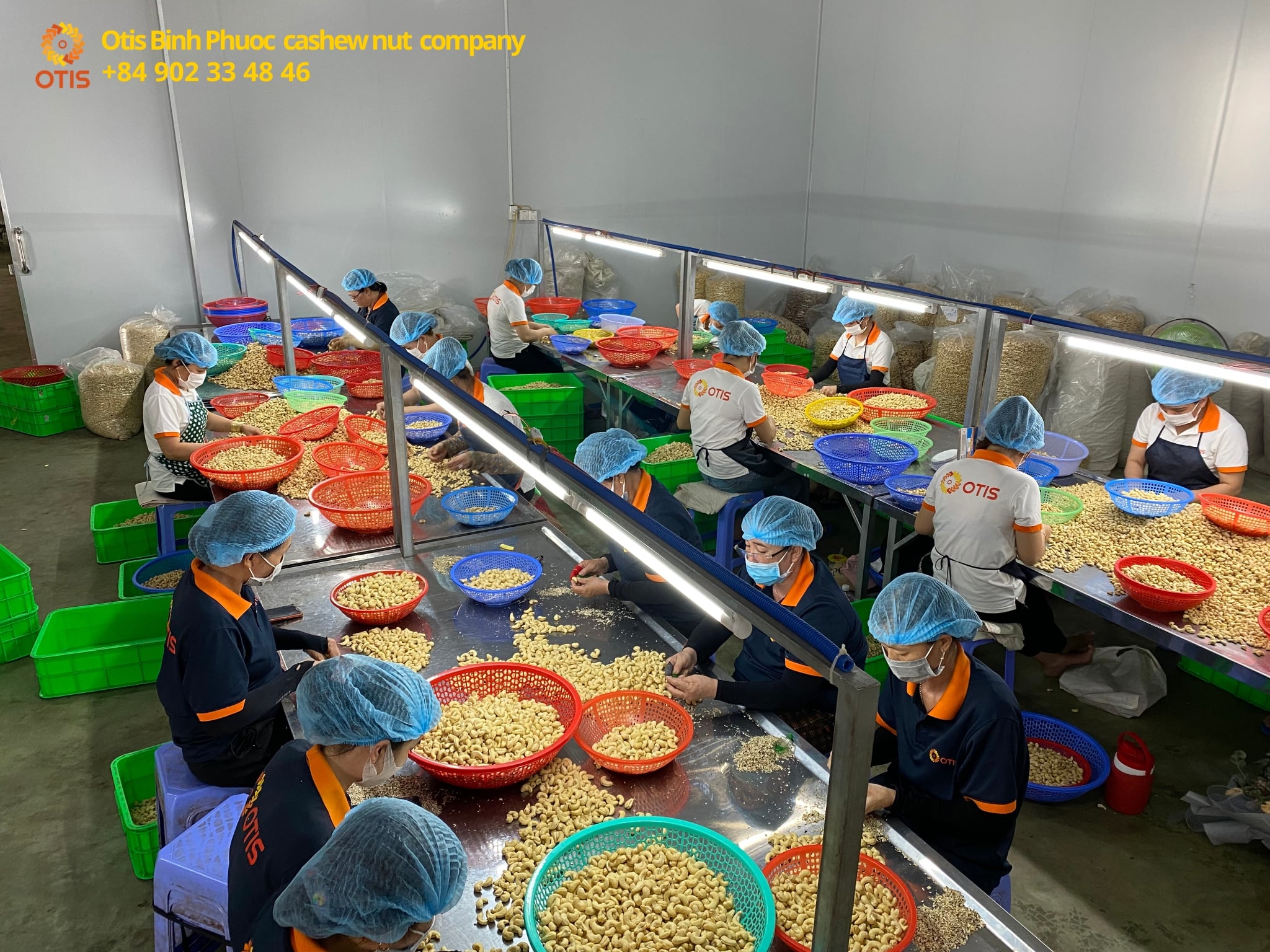 Vietnam-cashew-nut-exporter
