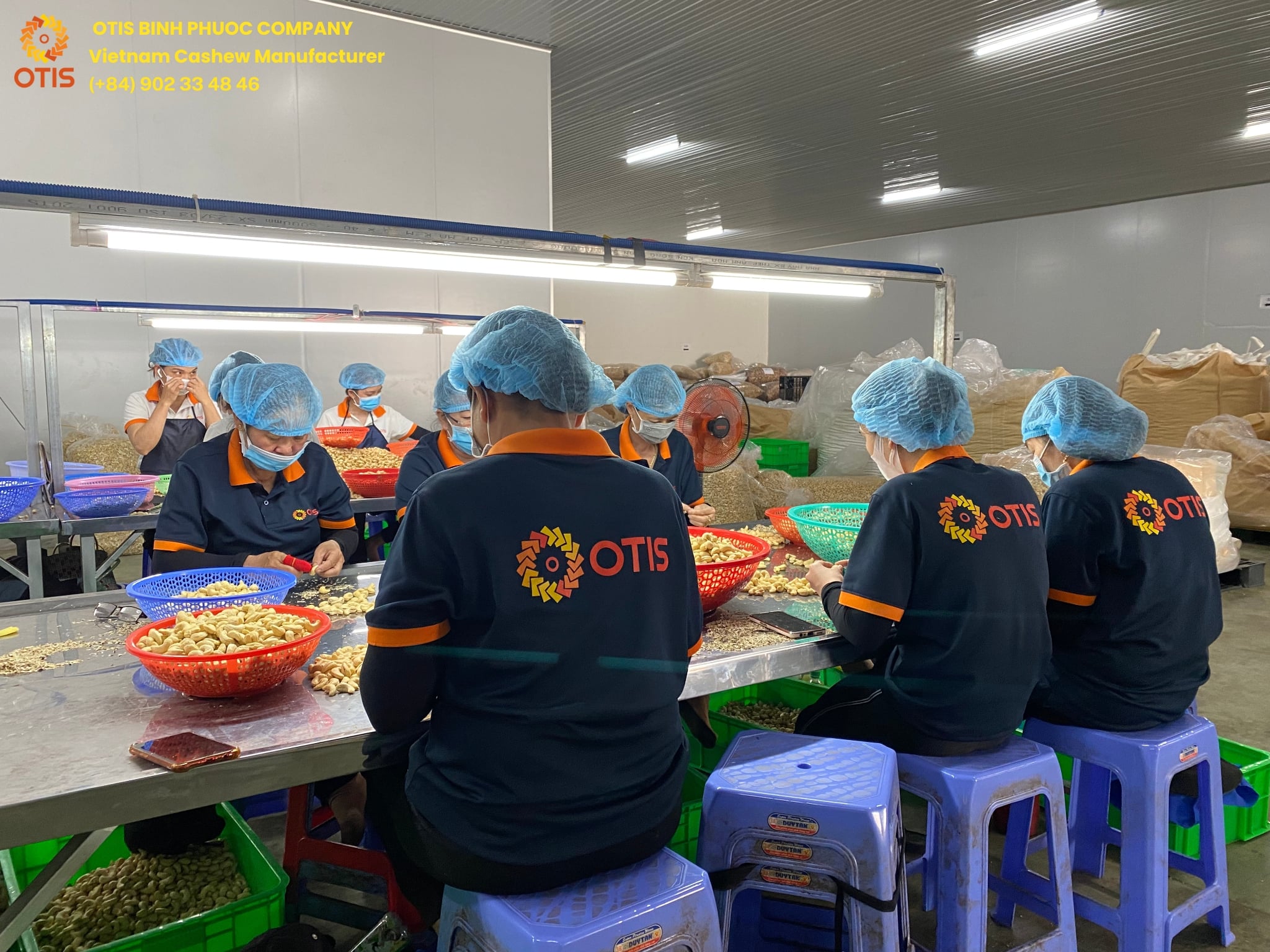 Vietnam-Cashew-nut-Manufacturer