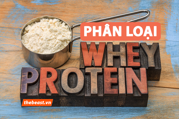 Phân biệt các loại Whey Protein phổ biến nhất hiện nay?