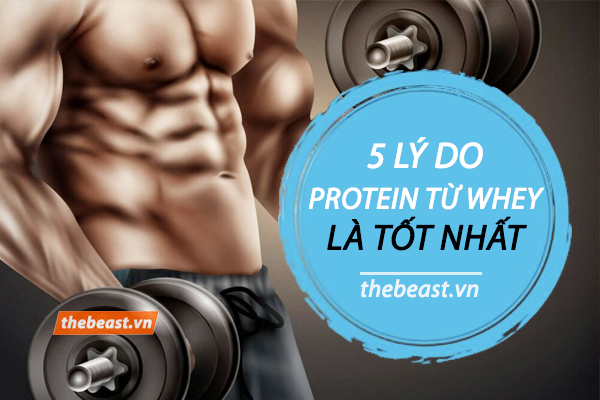 Vì sao Whey là nguồn cung cấp Protein tốt nhất cho Gymer?