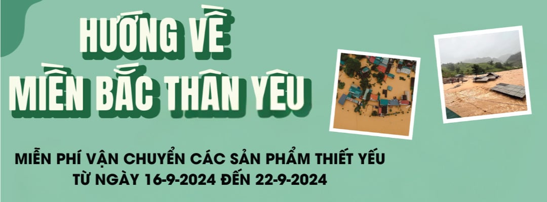 Miễn Phí Vận Chuyển Từ Ngày 16-9-2024 Đến 22-9-2024