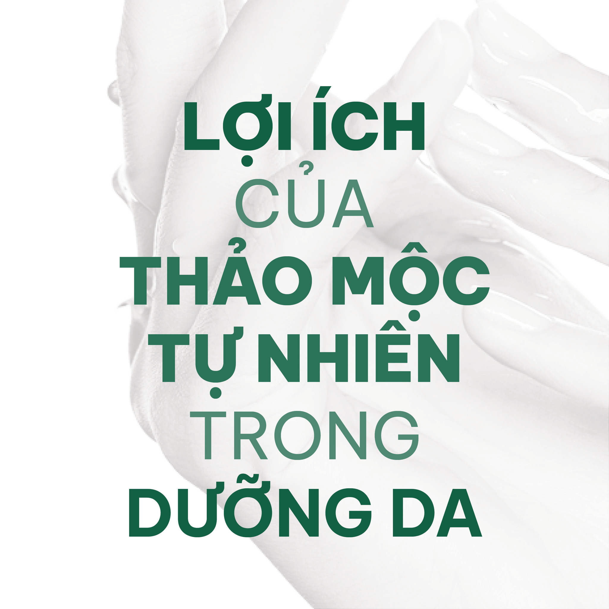 LỢI ÍCH CỦA THẢO MỘC TỰ NHIÊN TRONG DƯỠNG DA