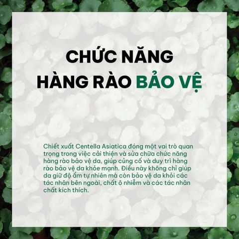 Công dụng của rau má trong dưỡng da
