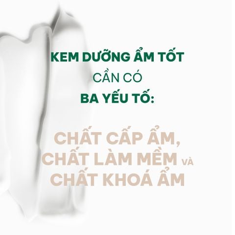 Kem dưỡng ẩm tốt nhất